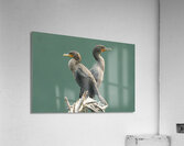 Mirror Acrylic Print