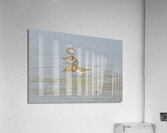 Birds Acrylic Print