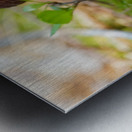 Mushroom Metal print