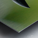 Those Eyes Metal print