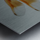 Dragonfly Metal print