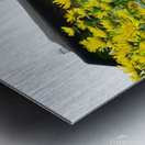 Flower Garden Metal print