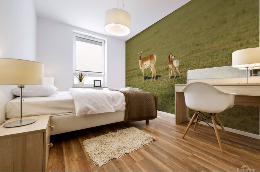 Antelope Mural print