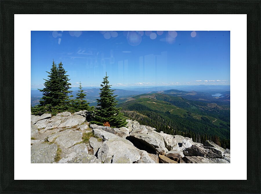 Washington Picture Frame print