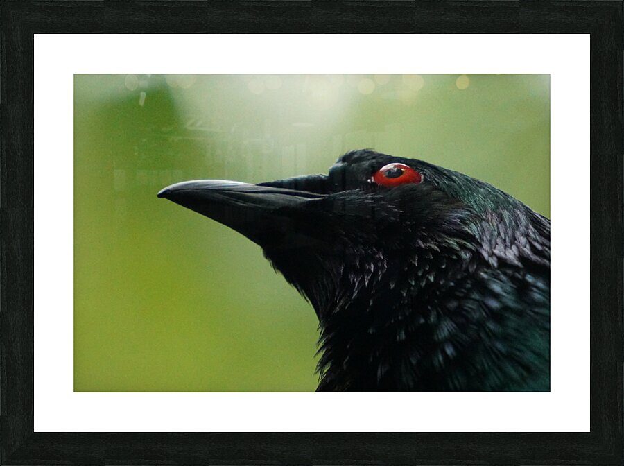 Those Eyes Picture Frame print