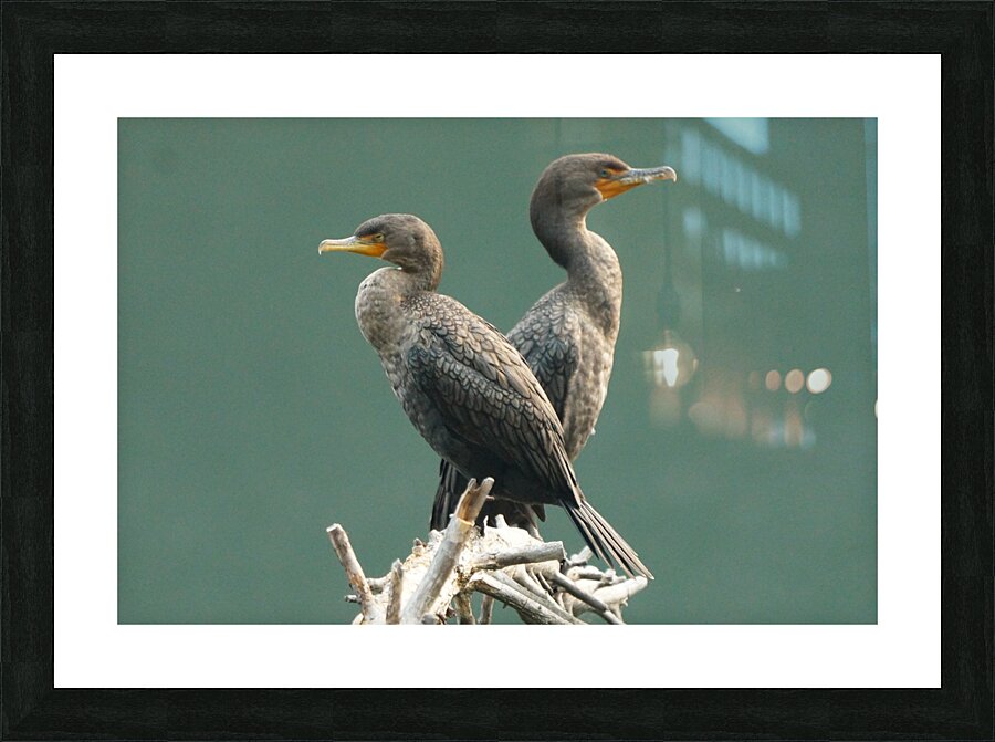 Mirror Picture Frame print