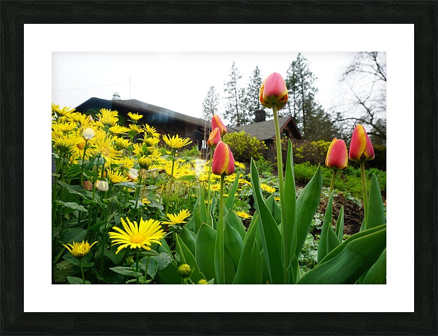 Flower Garden Picture Frame print