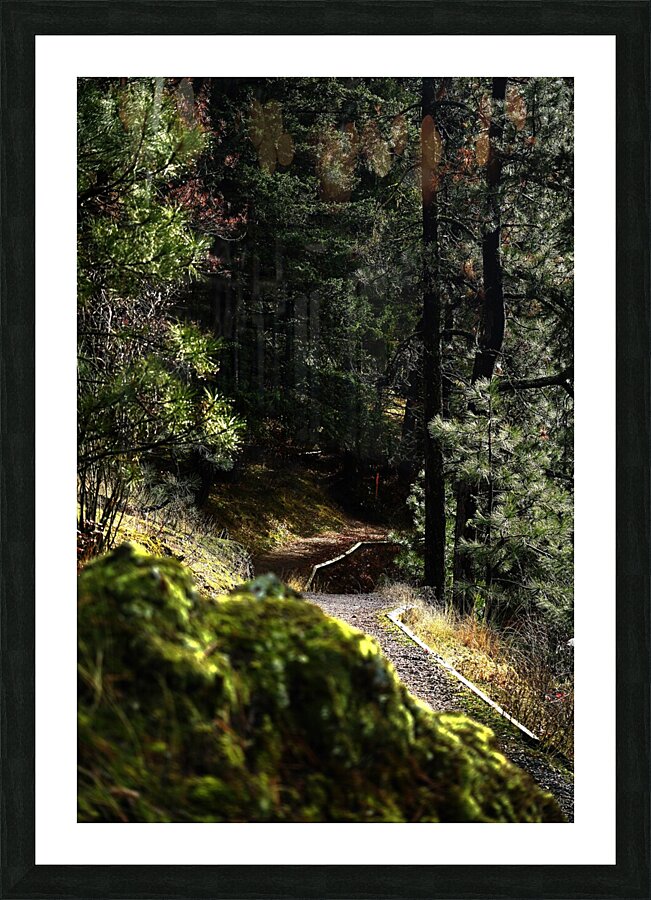 Hike Picture Frame print