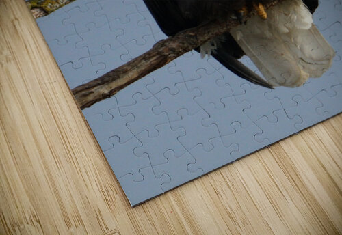 Eagle Perch Denise Thrasher puzzle