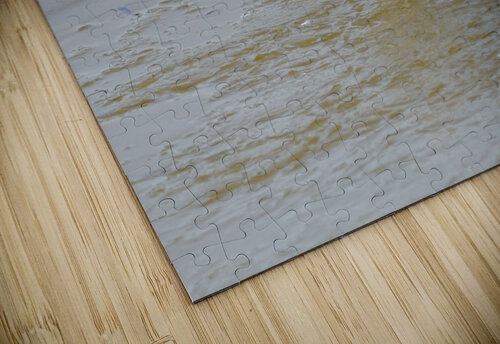 Birds Denise Thrasher puzzle