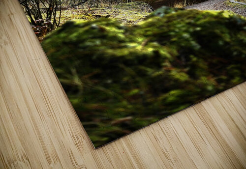 Hike Denise Thrasher puzzle