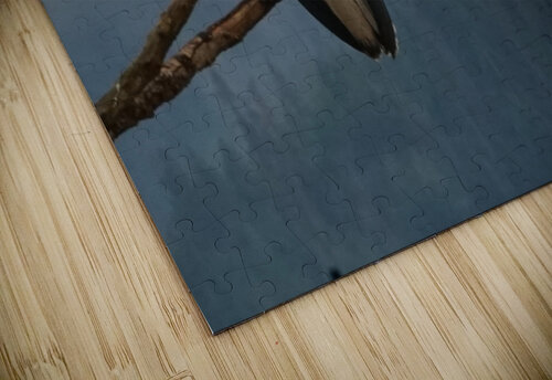 Bald Eagle Denise Thrasher puzzle