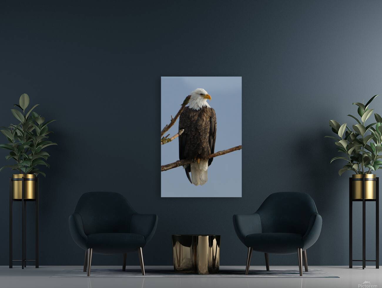Eagle Perch Reproduction