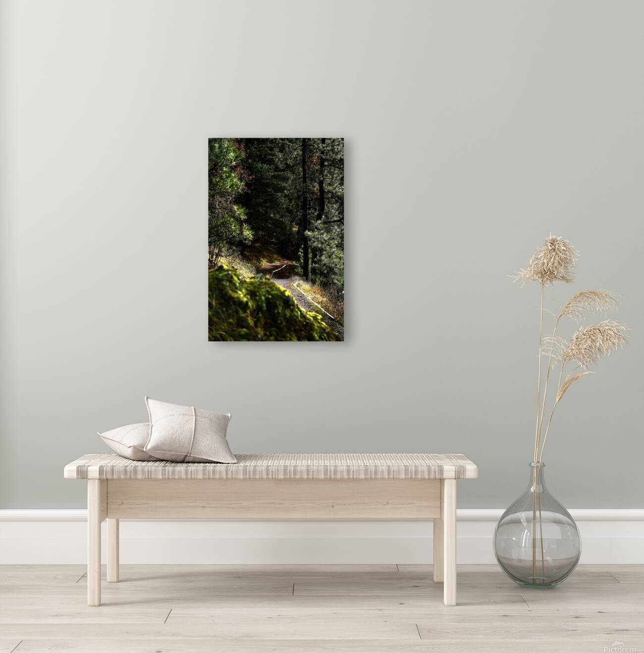 Hike Reproduction