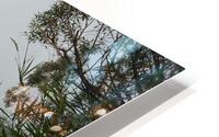 Foggy River HD Metal print