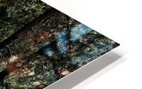 Hike HD Metal print