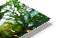 Spring Greenery HD Metal print