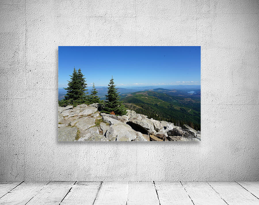 Washington Wall Preview