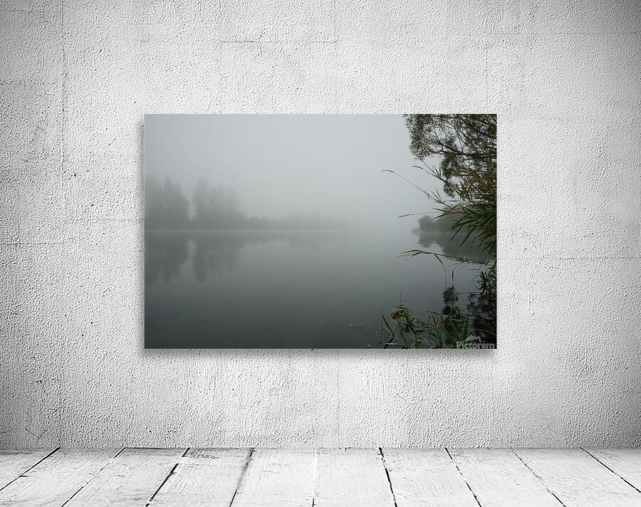 Foggy River Wall Preview