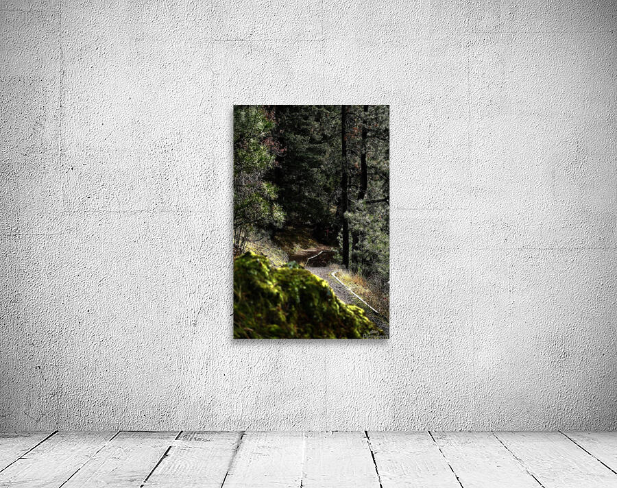 Hike Wall Preview