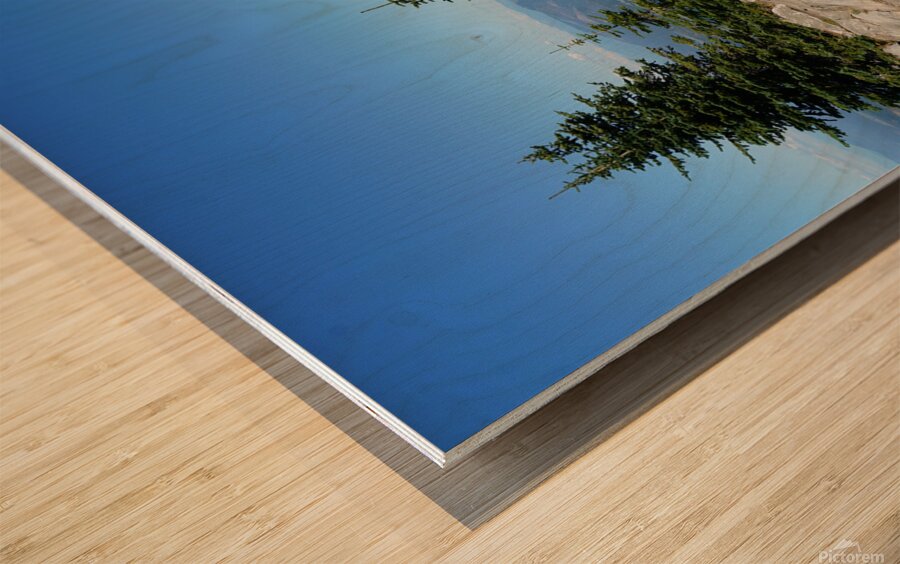 Washington Wood print