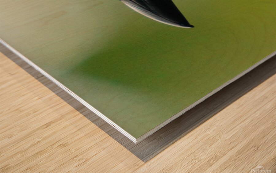 Those Eyes Wood print