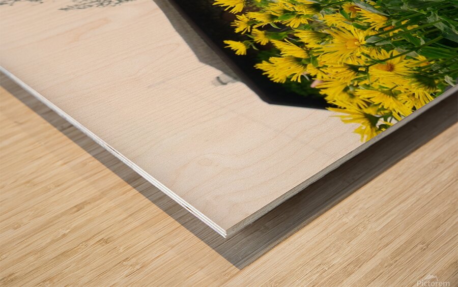 Flower Garden Wood print