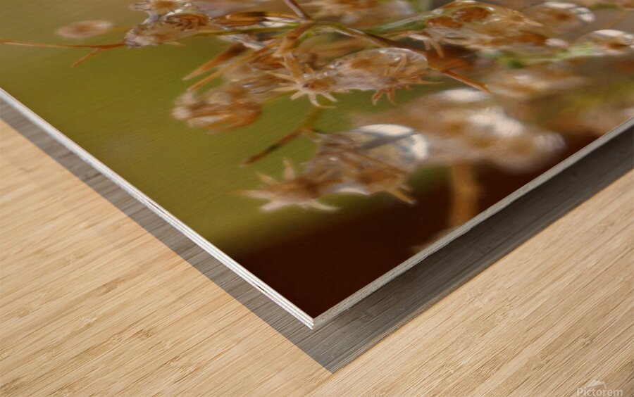 Dewy Morning Wood print