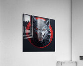 THE WOLF Acrylic Print