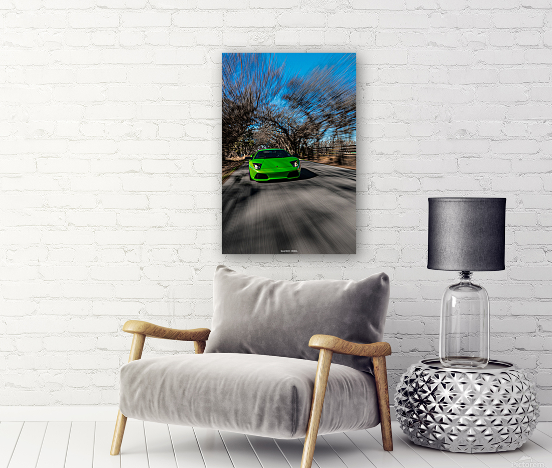 Murcielago Reproduction