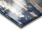 Morning Breaks One  36.36 Acrylic print