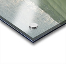 Dancing Edge  36.21 Acrylic print