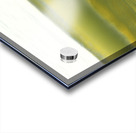 Light Discovery  48.24 Acrylic print