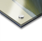 Fish Shadows  36.24 Acrylic print