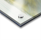 Soft Glimpse  36.24 Acrylic print