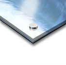 Blue Curl   36.24 Acrylic print