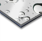 Palm Tree Thoughts One 41.55 Acrylic print