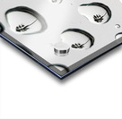 Palm Tree Thoughts Two  41.55 Acrylic print