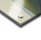 Fish Shadows  48.32 Acrylic print