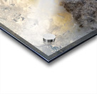 Morning Splash  48.48 Acrylic print