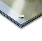 Falling Back In  48.27 Acrylic print