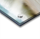 Up from the Depths 72.48 Acrylic print