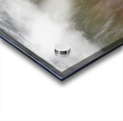 Green Florets 72.36 Acrylic print