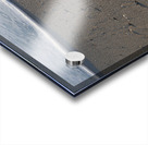 Foam Line with Shells 55.31 Acrylic print