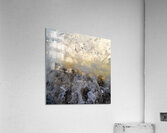 Morning Splash  36.36 Acrylic Print