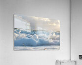 Cotton Foam One  36.24 Acrylic Print