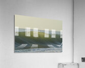 Fish Shadows  36.24 Acrylic Print