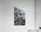 Splash Five 40.60 Acrylic Print