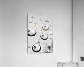 Palm Tree Thoughts One 32.42 Acrylic Print