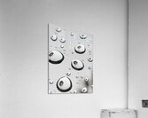 Palm Tree Thoughts One 27.36 Acrylic Print